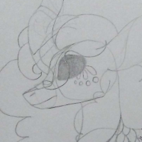 Thumbnail for REDESIGNED TBN 97