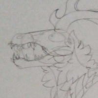 Thumbnail for DIV-516: Antler