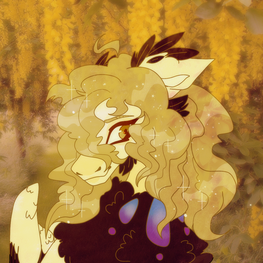 Thumbnail for TRIBE-546: Casia