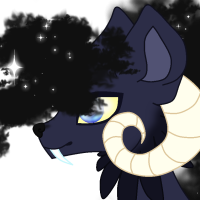 Thumbnail for Divided Adopt TBN