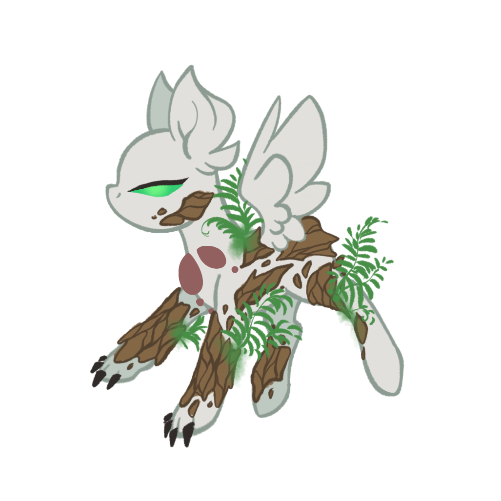 Herbs Flora