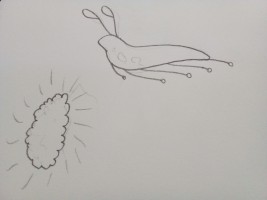 Submission thumbnail