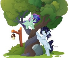 Submission thumbnail