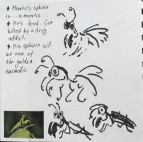 Submission thumbnail